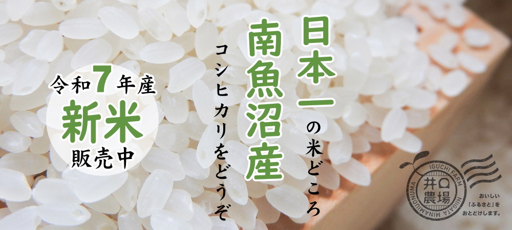 令和７年産新米の販売を開始しました